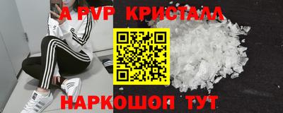 крисы Кунгур